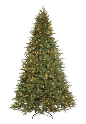 12' Ultra-Lit Ashville Fir LED Clear